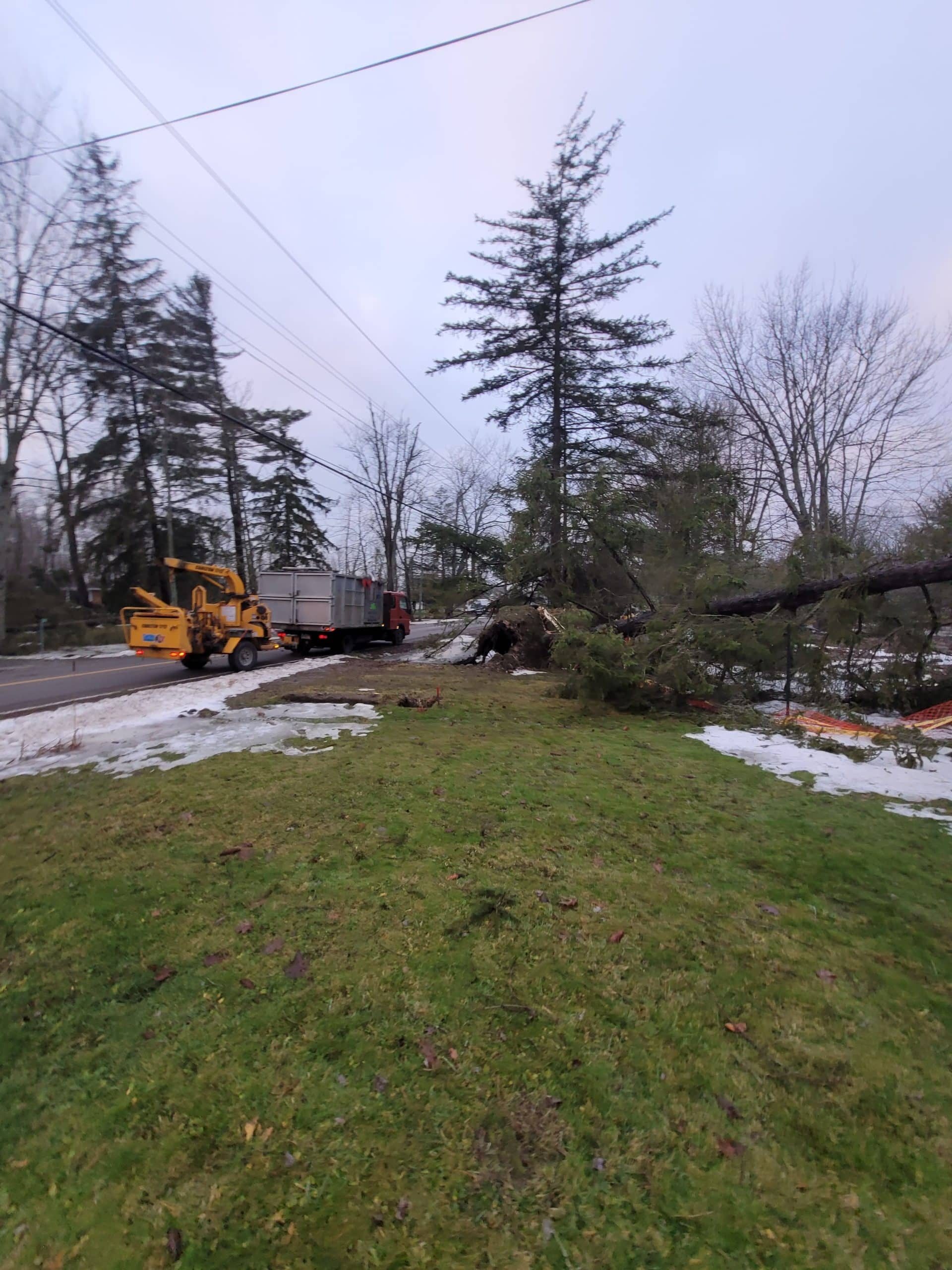 Emergency Tree Removal St. Catharines, Niagara Falls & Welland