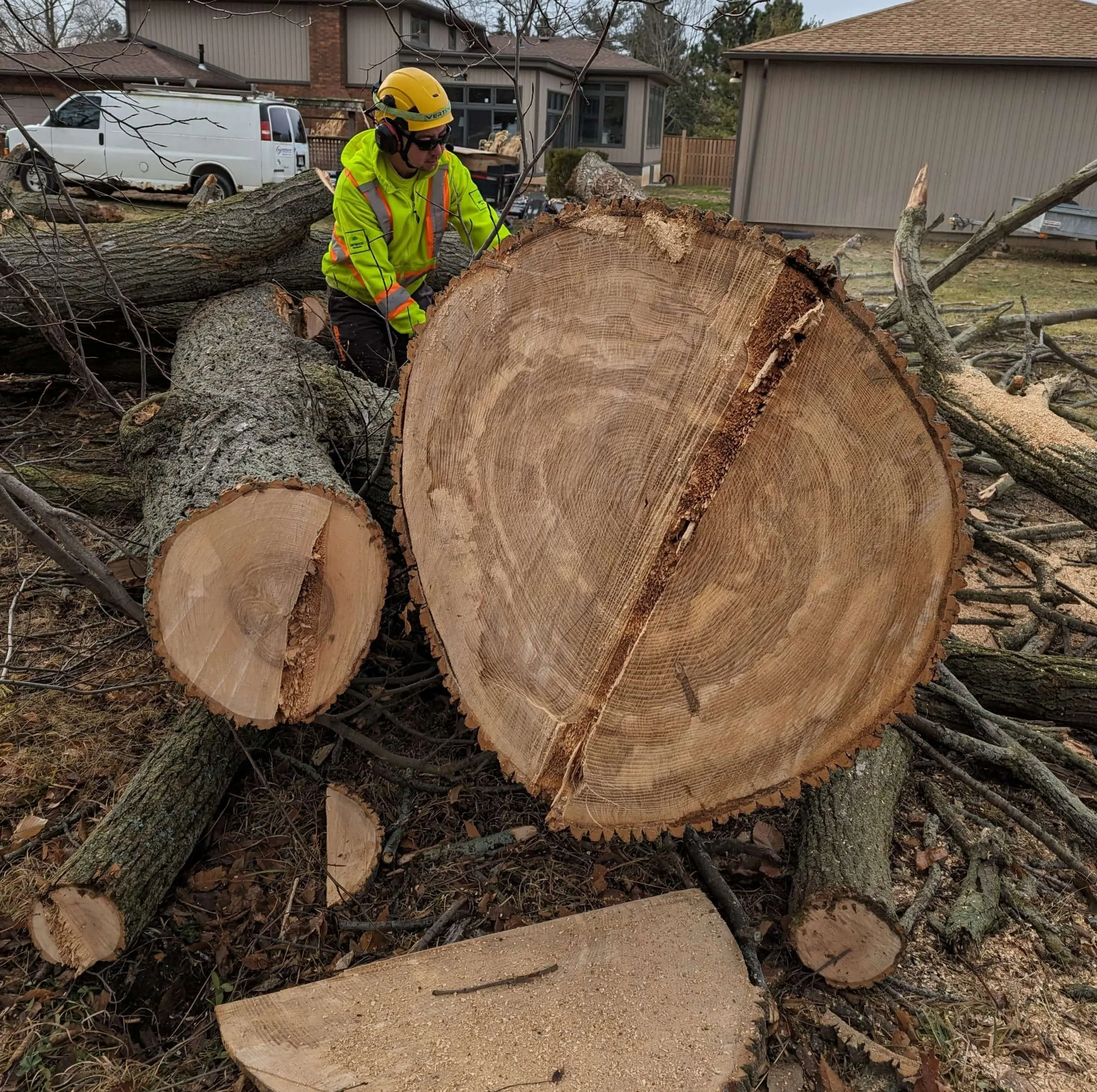 tree strom damage