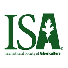 ISA Certified Arborist Driftwood Tree Service tree care professionals