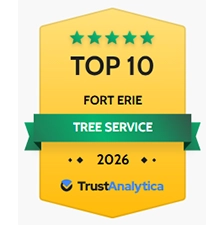TrustAnalytics verified Driftwood Tree Service reputation monitoring